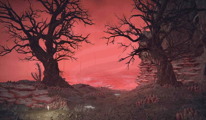 Elden Ring  serect-4